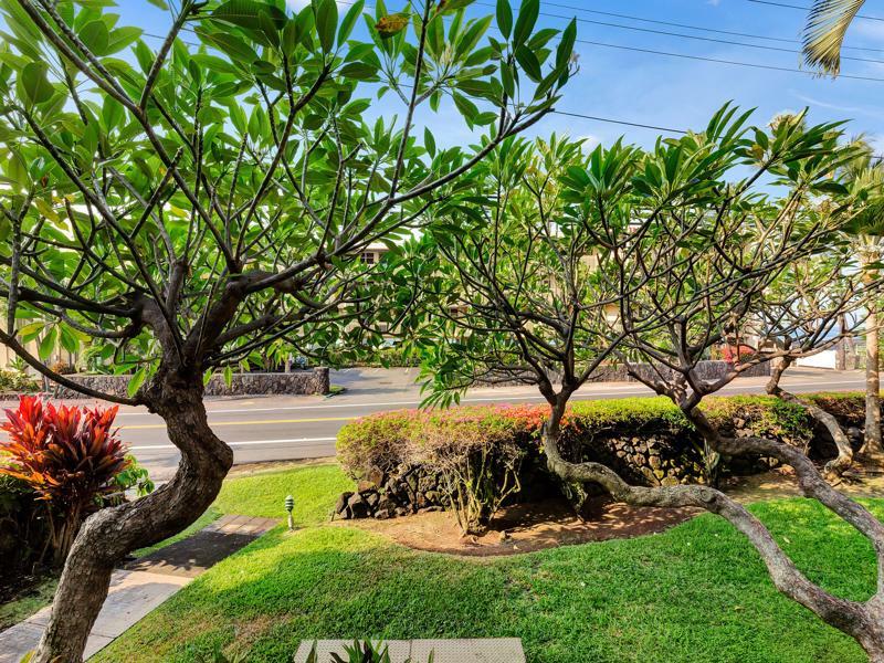 Castle Kona Bali Kai A Condominium Resort Holualoa Kültér fotó